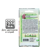 Семена цветов Портулак "Счастливая тропинка" Пепперминт, О, ц/п, 5 шт - Фото 3