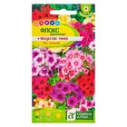 Семена цветов Флокс "Искусство теней", ц/п, О, ц/п, 0,1 г - Фото 3