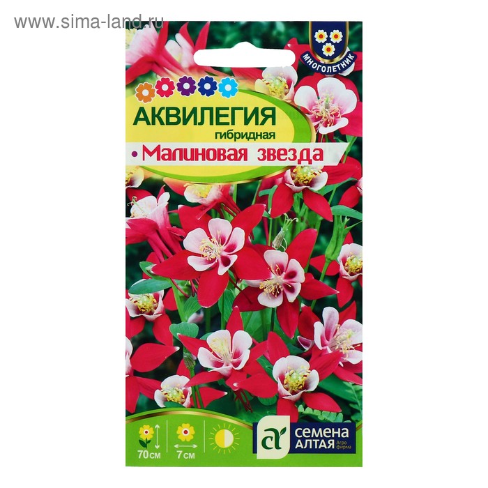 Семена цветов Аквилегия "Малиновая Звезда", ц/п, 0,1 г - Фото 1