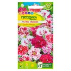 Семена цветов Гвоздика "Перистая", ц/п, 0,1 г - Фото 1