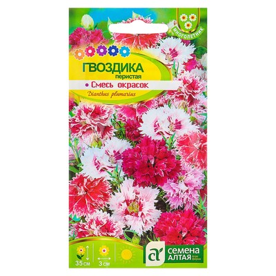 Семена цветов Гвоздика «Перистая», 0.1 г, «Семена Алтая»