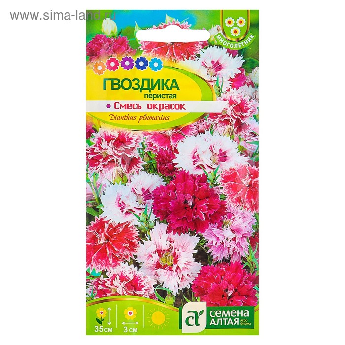 Семена цветов Гвоздика "Перистая", ц/п, 0,1 г - Фото 1