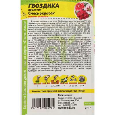 Семена цветов Гвоздика «Перистая», 0.1 г, «Семена Алтая»