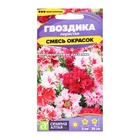 Семена цветов Гвоздика "Перистая", ц/п, 0,1 г - Фото 5