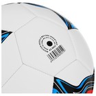 Мяч футбольный MINSA, TPU, машинная сшивка, 32 панели, р. 5 - фото 8569092