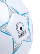 Футбольный мяч MINSA, машинная сшивка, 32 панели, р. 5, TPU 3910787