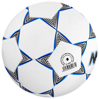 Мяч футбольный MINSA, TPU, машинная сшивка, 32 панели, р. 5 - фото 3827517