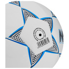 Футбольный мяч MINSA, машинная сшивка, 32 панели, р. 5, TPU - Фото 8