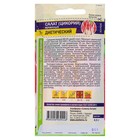 Семена Салат Цикорий кочанный "Диетический", 0,5 г - Фото 2