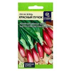 Семена Лук на зелень «Красный пучок», цветной пакет, 0.3 г - Фото 1