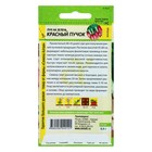 Семена Лук на зелень «Красный пучок», цветной пакет, 0.3 г - Фото 2