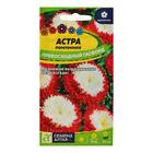 Семена цветов Астра "Превосходный Гасфорд" помпонная, О, ц/п, 0,2 г - Фото 1