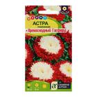 Семена цветов Астра "Превосходный Гасфорд" помпонная, О, ц/п, 0,2 г - Фото 3