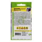 Семена цветов Василек «Краски лета», смесь, 0.3 г, «Семена Алтая» - Фото 4