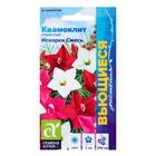 Семена цветов Квамоклит "Искорки" смесь перистая, О, ц/п 0,2 г - Фото 1