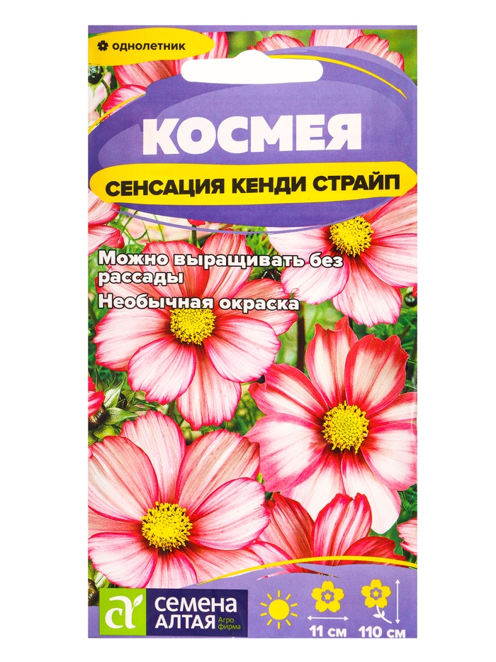 Семена цветов Космея «Сенсация Кенди Страйп», 0.3 г, «Семена Алтая» - Фото 1