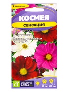 Семена цветов Космея "Сенсация", ц/п, О, ц/п, 0,5 г - Фото 1
