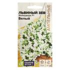 Семена цветов Львиный зев «Фейерверк F1», белый, ампельный, однолетник, цветной пакет, 3 шт. - Фото 4