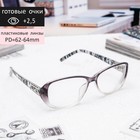 Очки готовые «Восток 1319», серые, +2.5 - Фото 2