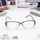 Очки готовые «Восток 1319», серые, +2.5 - Фото 3