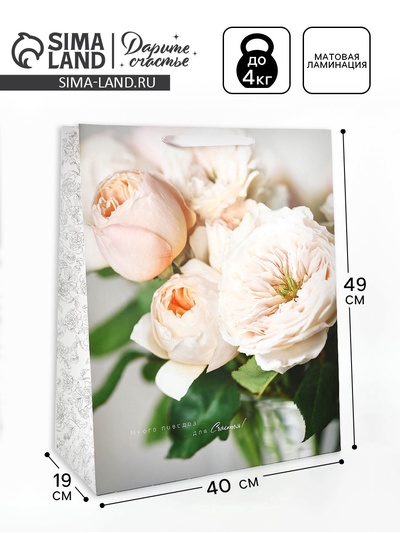 Пакет подарочный ламинированный, упаковка, «Счастья», XL 40×49×19 см