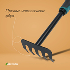 Грабли малые, прямые, 5 зубцов, длина 28.5 см, металл, эргономичная прорезиненная ручка, Greengo - Фото 3