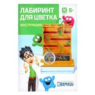 Набор для опытов «Лабиринт для цветка» - Фото 10