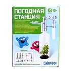 Набор для опытов «Погодная станция», своими руками - Фото 11