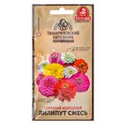 Семена цветов Цинния "Лилипут смесь", О, 0,6 г - Фото 1