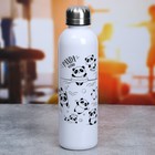 Бутылка для воды «Панда», 600 мл - фото 8765060