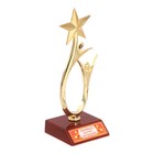 Кубок «Первый - значит лучший», наградная фигура, люди со звездой, пластик - фото 9504548