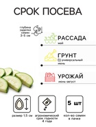 Семена Кабачок «Кавили», F1, 5 шт., раннеспелый, «Тимирязевский питомник» - Фото 2