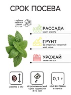 Семена Мелисса лекарственная «Лимонный аромат», 0.1 г, «Тимирязевский питомник» - Фото 2
