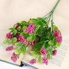 Букет "Морошка" 25 см, микс - Фото 1