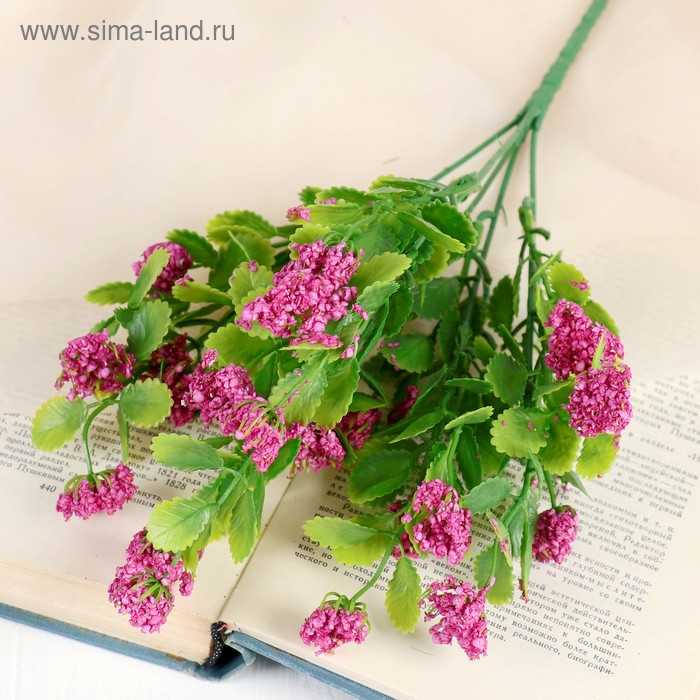 Букет "Морошка" 25 см, микс - Фото 1