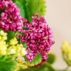 Букет "Морошка" 25 см, микс - Фото 2