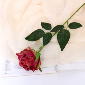Цветы искусственные 'Роза петра' 7,5х55 см, бордо