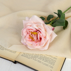 Цветы искусственные "Роза пиония" 10*60 см, розовая - Фото 1