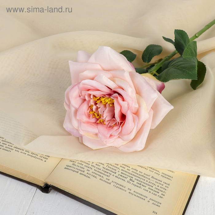 Цветы искусственные "Роза пиония" 10*60 см, розовая - Фото 1