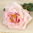 Цветы искусственные "Роза пиония" 10*60 см, розовая - Фото 2