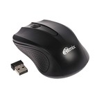 Мышь Ritmix RMW-555, беспроводная, оптическая, 1000 dpi, 2xAAA (не в комплекте), USB, чёрная - Фото 1