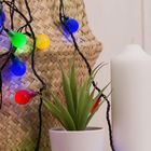 УЦЕНКА НИТЬ, 5 м, с насад. “Шарики Цветные”, Н.Т. LED-30-220V, 8 режимов, МУЛЬТИ - Фото 3