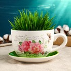 Горшок в форме чашки "Эмма" цветы, 19х15х10см - Фото 2