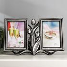 Тёмное серебро