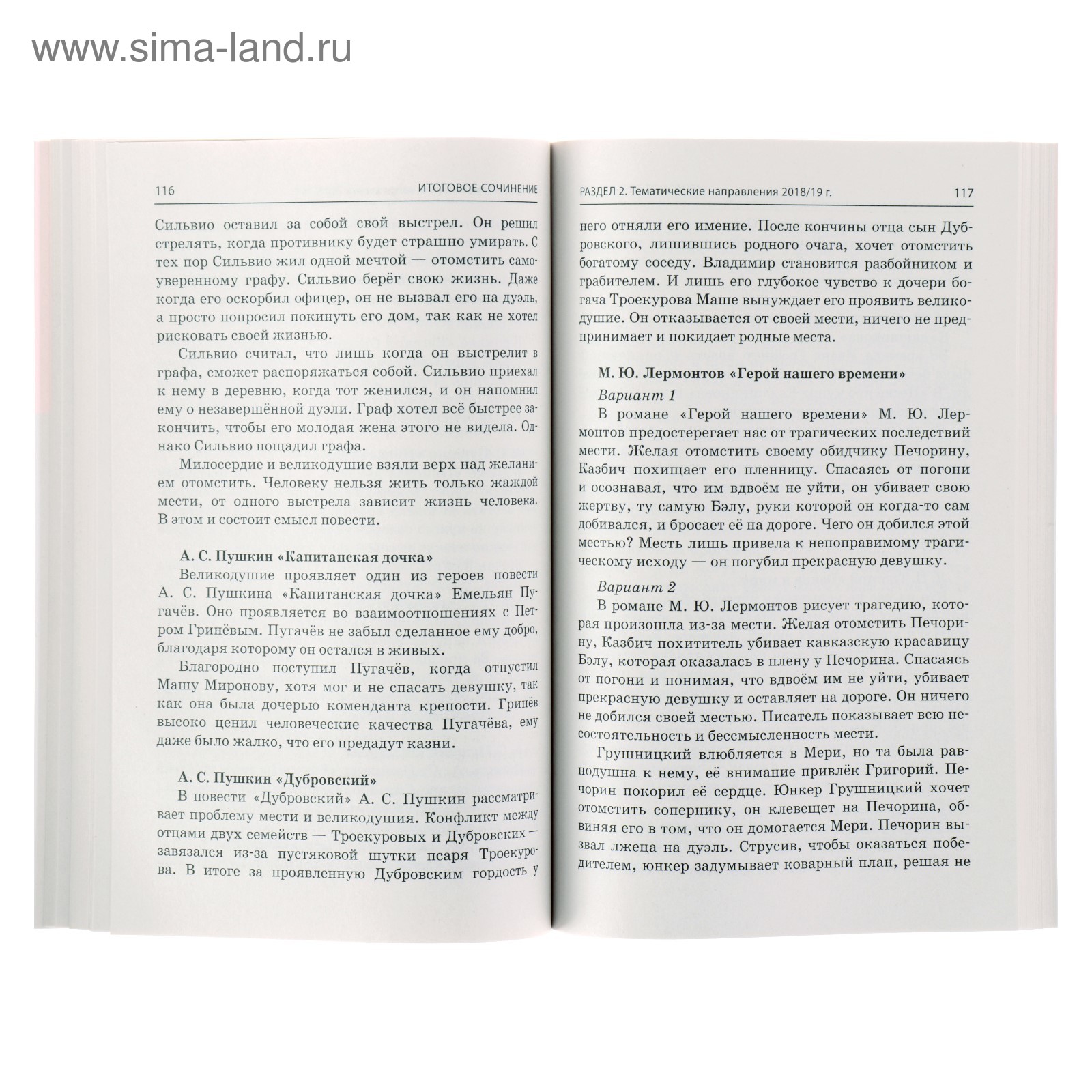 Итоговое сочинение: 2018/2019 г. Попова Е. В. (4089931) - Купить по цене от  280.00 руб. | Интернет магазин SIMA-LAND.RU