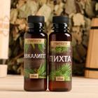 Ароматизатор 100 мл «Самому лучшему банщику», эвкалипт, пихта - Фото 2