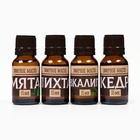 Набор 4 эфирных масла 15 мл «Главному банщику» - Фото 7