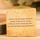 Набор 3 эфирных масла 10 мл «Лучшему банщику!» сосна, мята, кедр - Фото 4