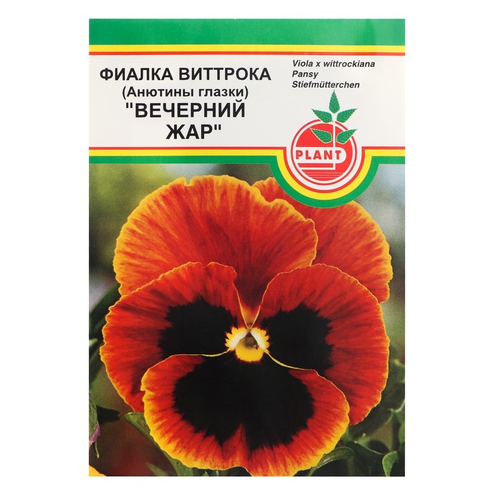Семена цветов Виола "Вечерний жар", Дв, 0,03 г - Фото 1