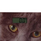 Весы напольные Sakura SA-5065CT, электронные, до 180 кг, 1хCR2032, стекло, картинка "кошка" - Фото 3